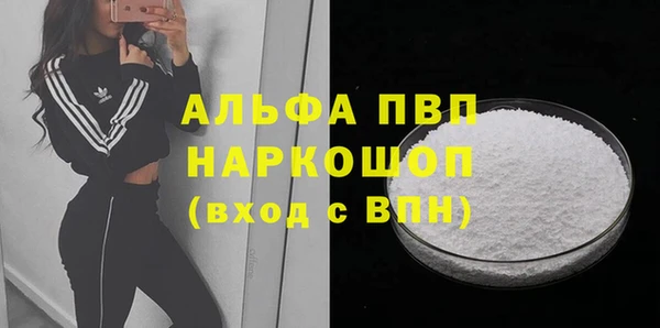 СК Абинск