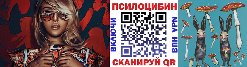 купить закладку  Кочубеевское  Галлюциногенные грибы Psilocybe 